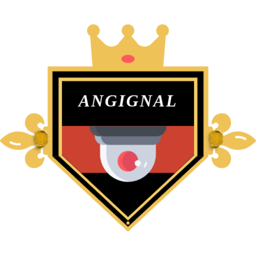 Angignal